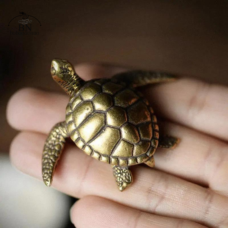 Brass Turtle Small Home Deco O - Home Office Freelancer review and price