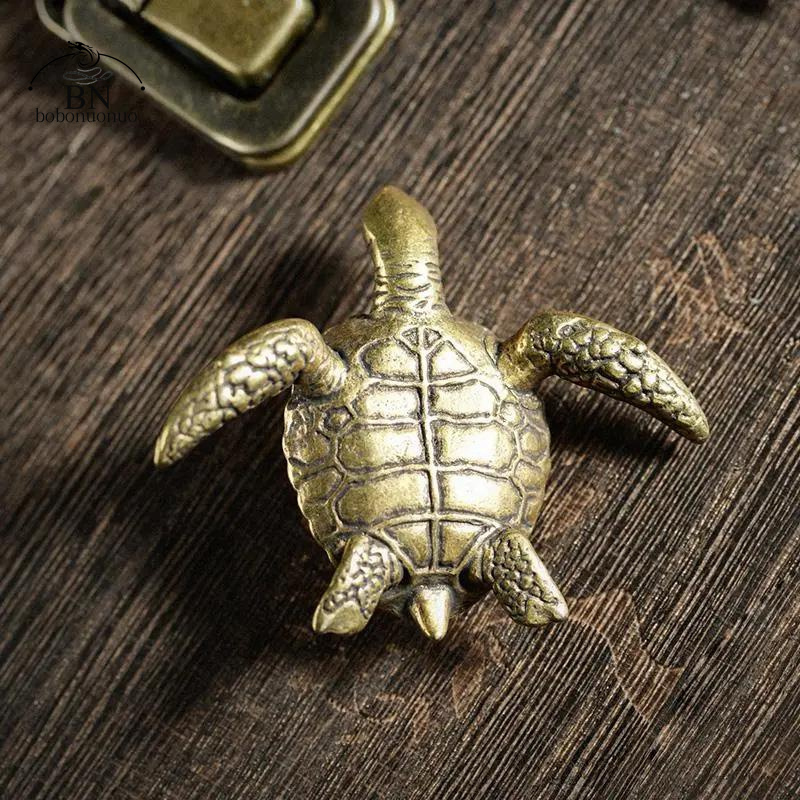 Brass Turtle Small Home Deco O - Home Office Freelancer review and price