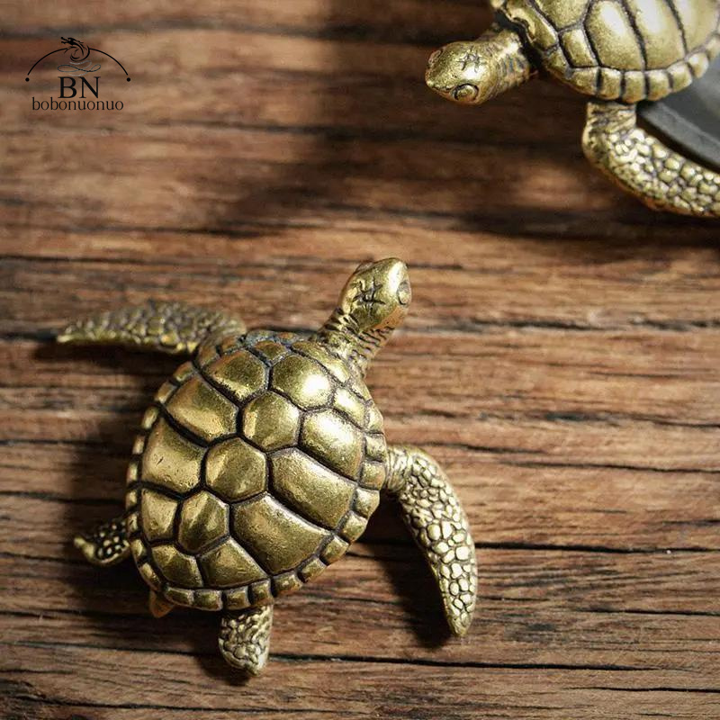 Brass Turtle Small Home Deco O - Home Office Freelancer review and price